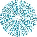 Aqua-Spark