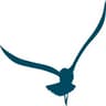 Back Cove Financial