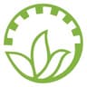 Baum Group
