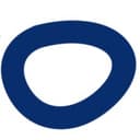 Blue Mango Design