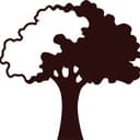 Casey Trees