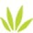 Cropsticks