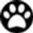 DOG by Dr Lisa
