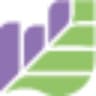 ebi Portfolios