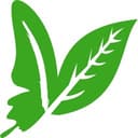 Envol Vert