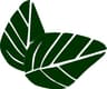 Forestal Sylvis