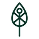Generation Forest