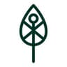 Generation Forest