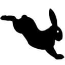 Giant Rabbit