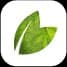 Greentex America