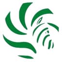 Green Zebra