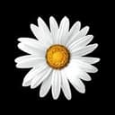 Implenia