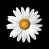Implenia