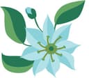 Indigenous Tourism Ontario