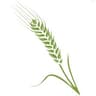 Iroquois Valley Farmland REIT