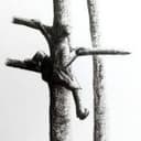 Laurence Holzemer
