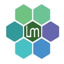 Lumax Consulting