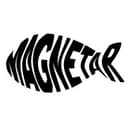Magnetar Vismagneet