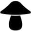 Nãm Mushrooms