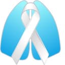 National Lung Cancer Roundtable