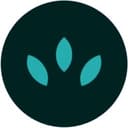 Oryza Electronics
