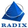 Radixweb