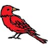 Redbird Media Group