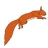 Red Squirrel Resources