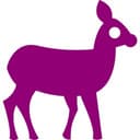 Rewilding Europe