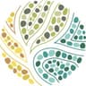 Rise Consulting