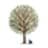 Sapling Spirits