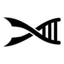 Sereia Films