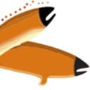 Okanagan Nation Alliance