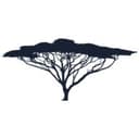 Tanzania School Trust