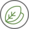 The Superfood Company