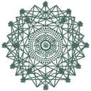 The Synergy Company