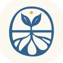 Transition Network