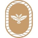 ViFOUNDATION