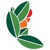 World Coffee Championships