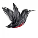 Webbird Media