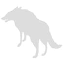 Wicklow Wolf