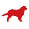 Wild Dog Design
