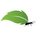 Antleaf