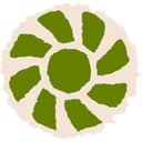Biofuelwatch