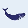 Blue Whale Materials