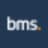 BMS Group