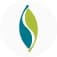 Brendle Group