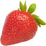 California Giant Berry Farms