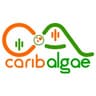 CaribAlgae