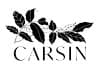 Château Carsin